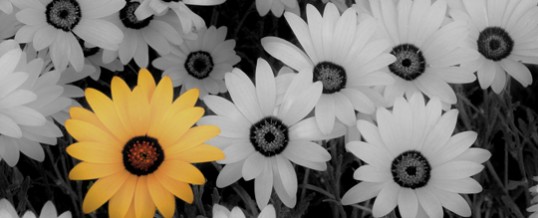 5 Ways We Are Different Than Other Magazine Subscription Agents